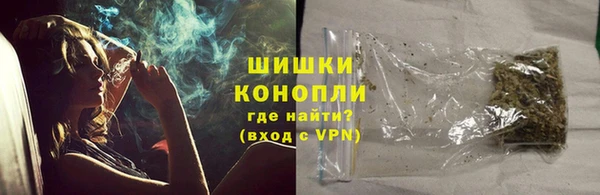 спайс Корсаков