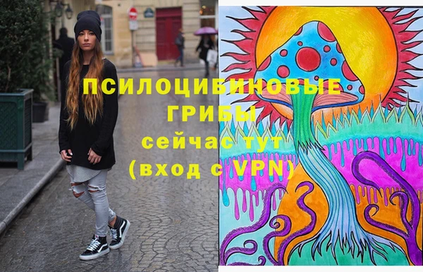 ГАЛЛЮЦИНОГЕННЫЕ ГРИБЫ Кодинск