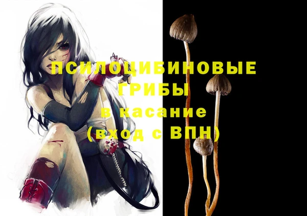 спиды Армянск