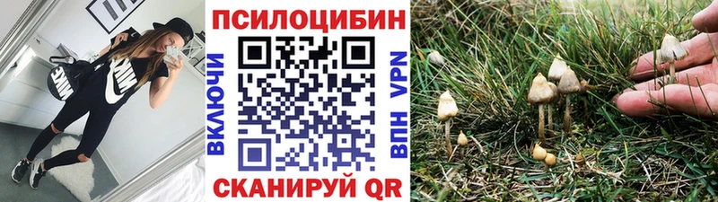 Псилоцибиновые грибы Psilocybe  мориарти наркотические препараты  Рыльск 
